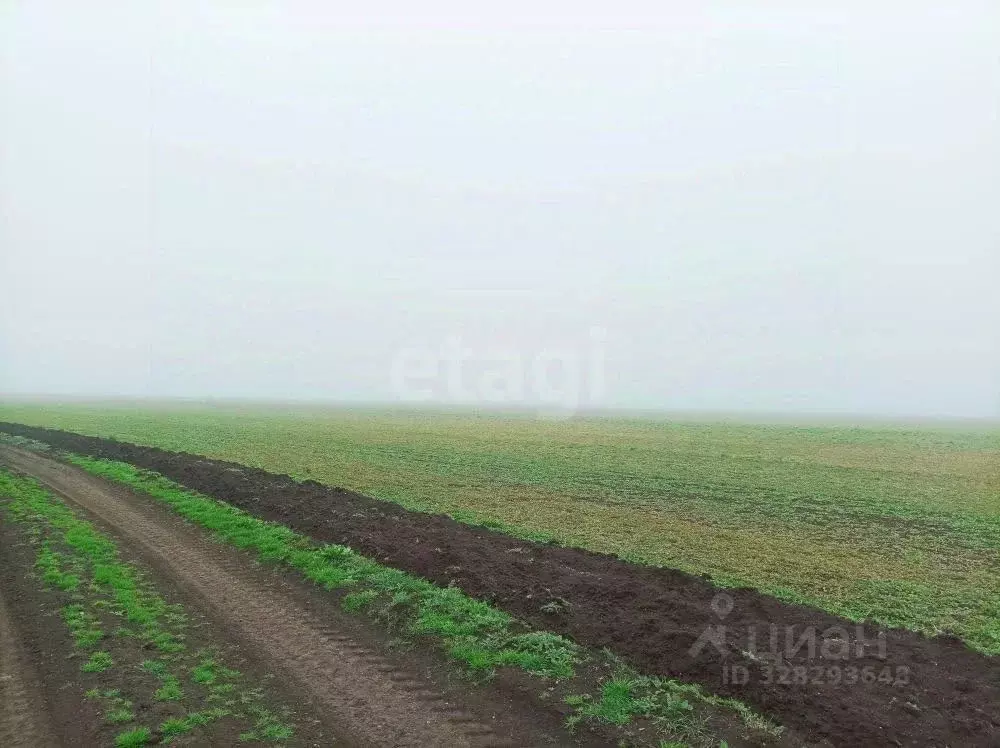 Участок в Крым, Ленинский район, с. Семисотка ул. Восточная (1064.2 ... - Фото 1