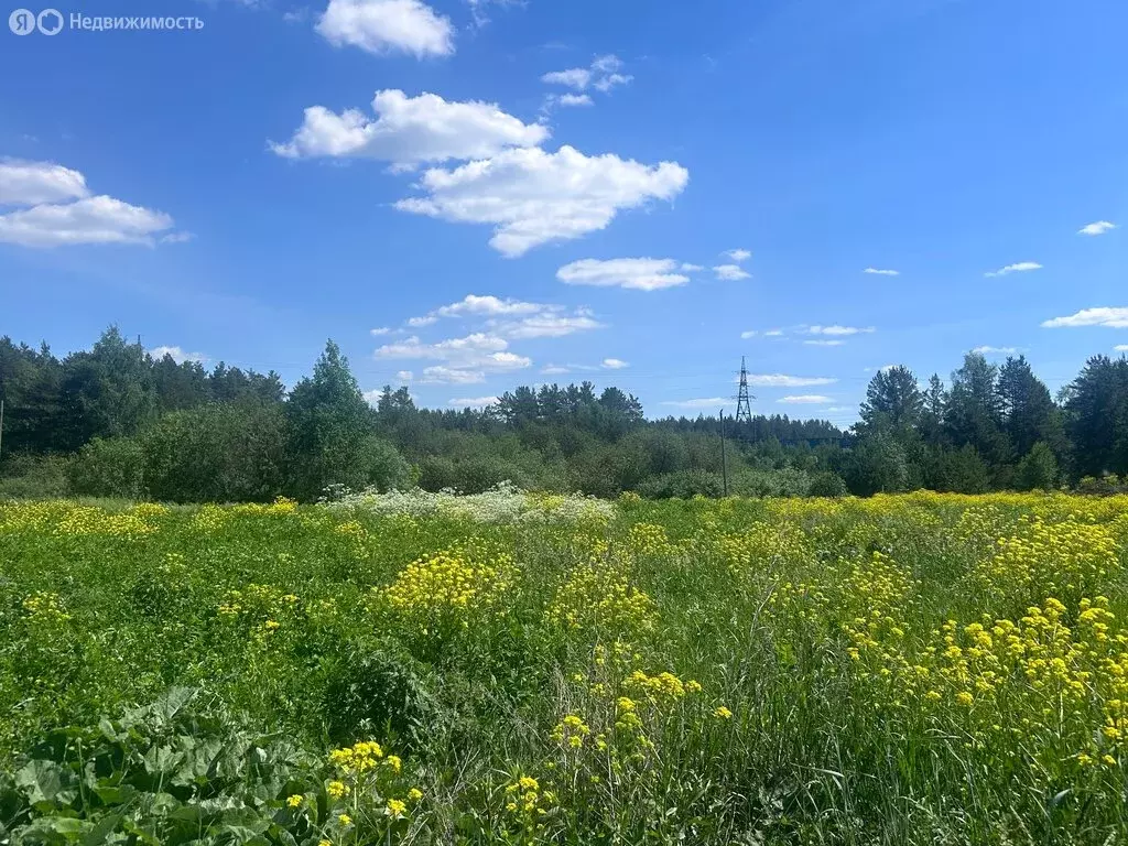 Дом в деревня Поварня, Вольная улица (130 м) - Фото 0