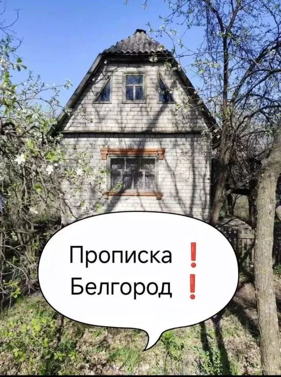 Дом в Белгородская область, Белгород Дачная ул. (25 м) - Фото 0