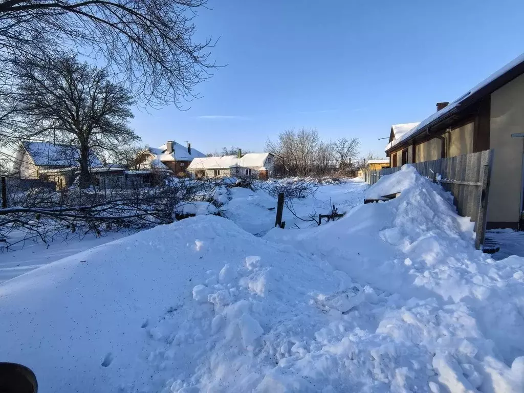 Участок в Воронежская область, Новоусманский район, с. Бабяково  (9.16 ... - Фото 1