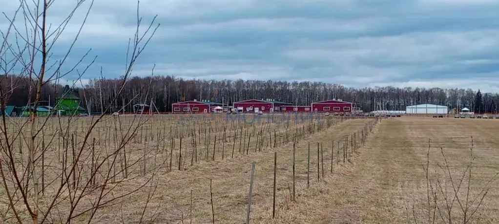 Участок в Нижегородская область, Городецкий муниципальный округ, д. ... - Фото 0