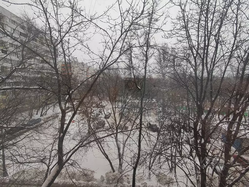 1-к кв. Москва Вешняковская ул., 25/2 (35.0 м) - Фото 2