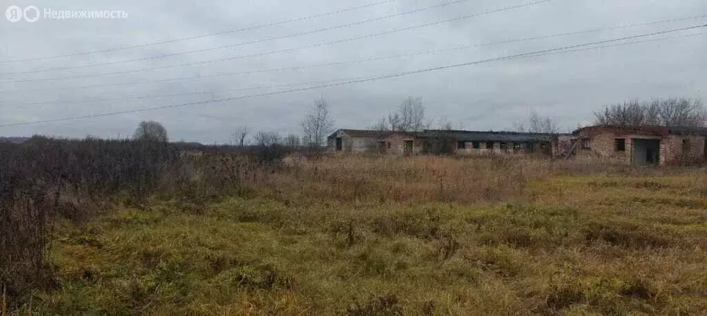 Участок в Московская область, городской округ Коломна, село Макшеево ... - Фото 0