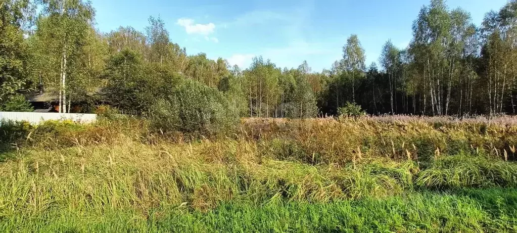 Участок в Москва Киноцентр СНТ, 30 (24.0 сот.) - Фото 1