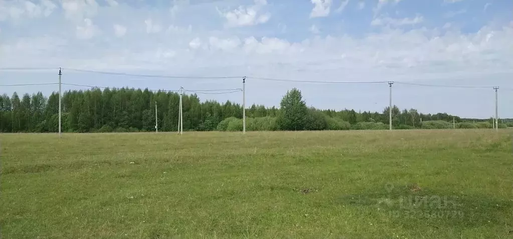 Участок в Татарстан, Лаишевский район, Кирбинское с/пос, д. Травкино  ... - Фото 2