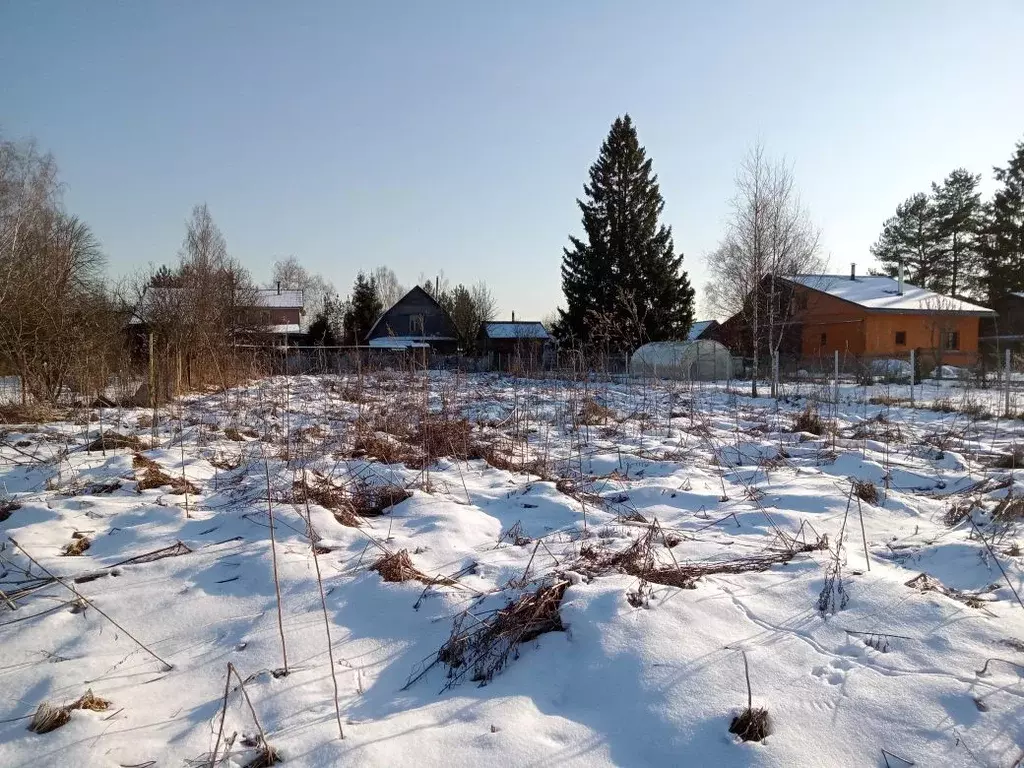 Участок в Московская область, Клин городской округ, д. Семчино  (9.64 ... - Фото 1