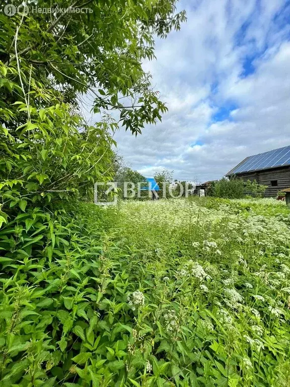 Участок в Кострома, садоводческое товарищество Текстильщик-2, 85 (8.5 ... - Фото 1