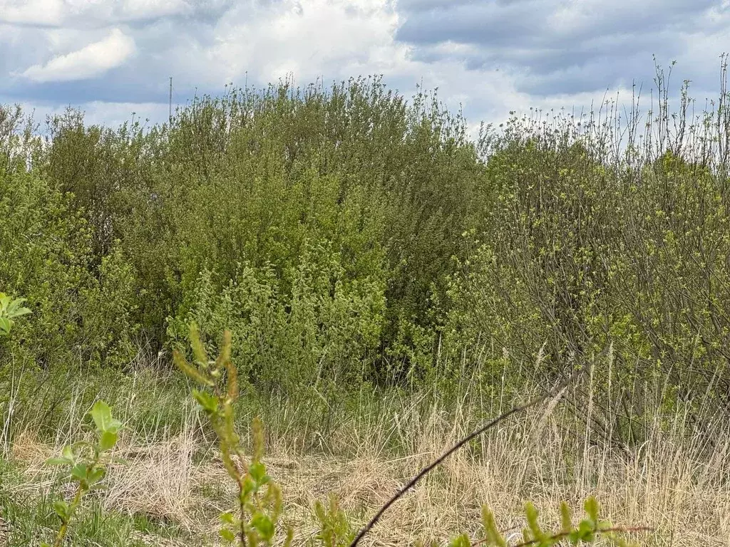 Участок в Московская область, Богородский городской округ, д. Старые ... - Фото 1