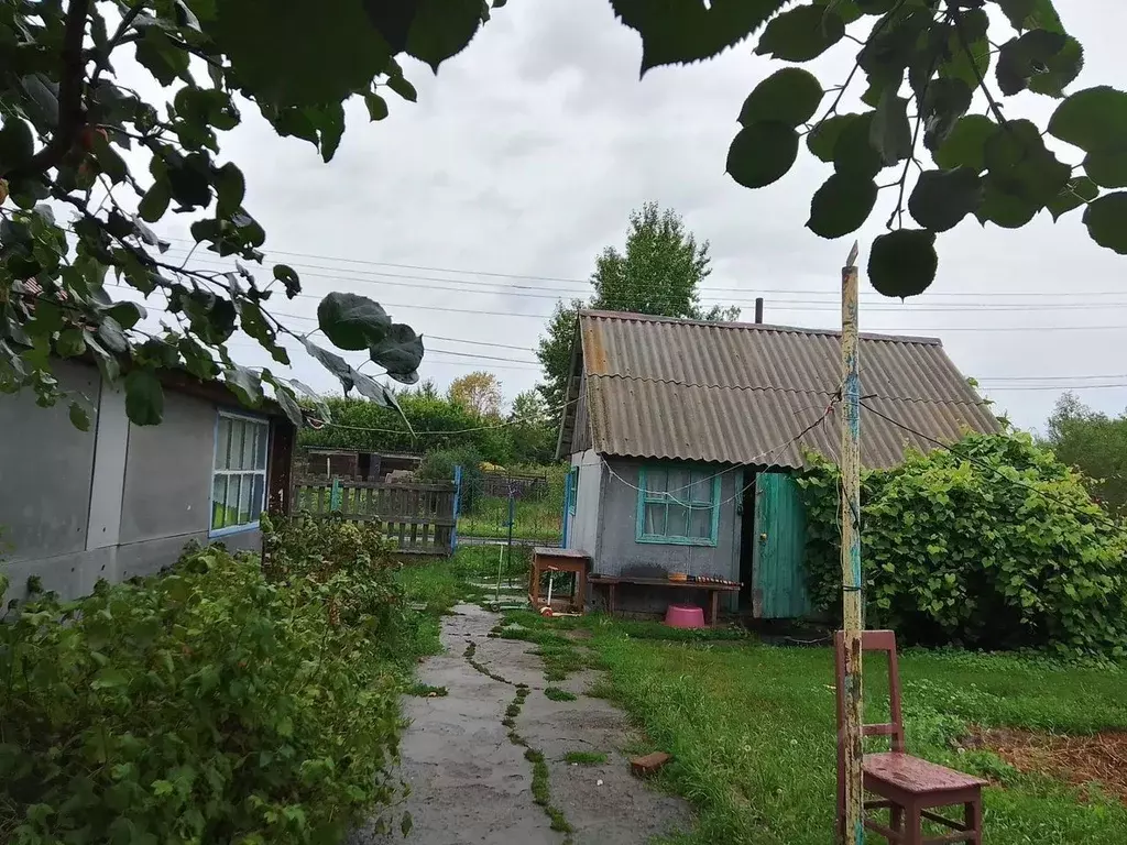 Дом в Алтайский край, Топчихинский район, с. Переясловка Молодежная ... - Фото 2