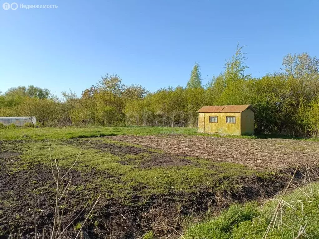 Участок в Толмачево, СДТ Русь (5.32 м) - Фото 1