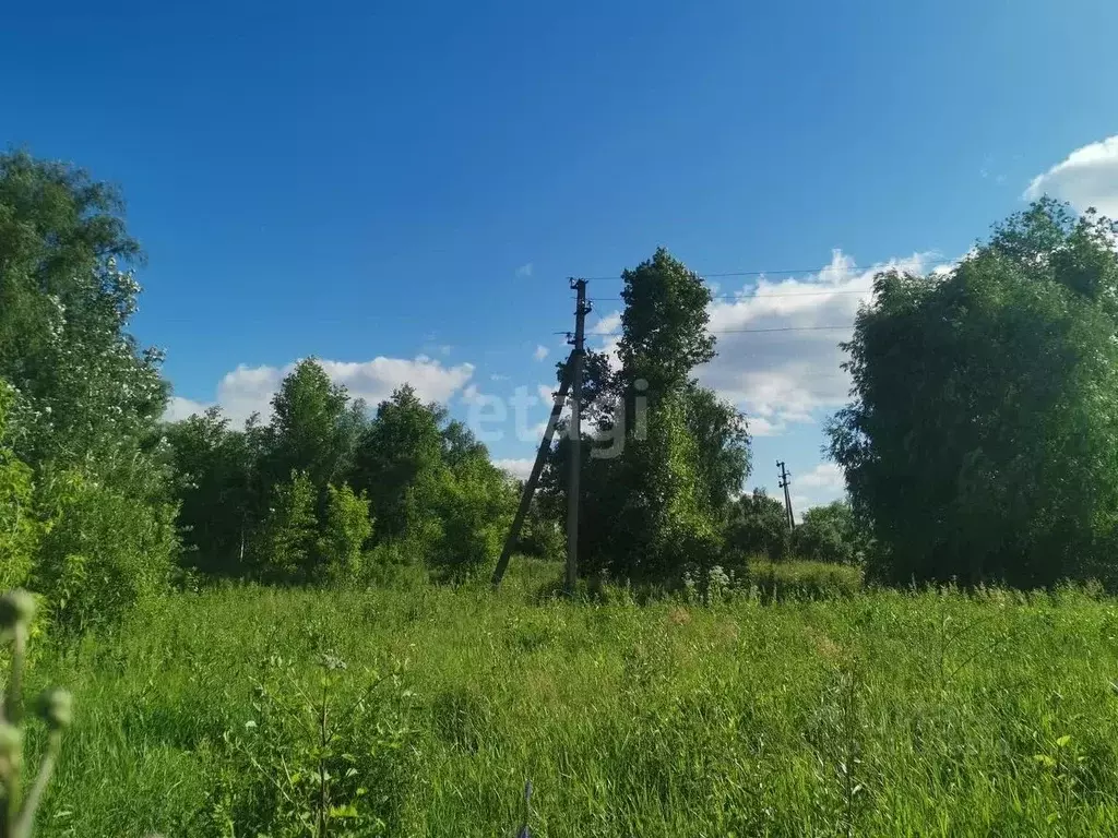 Участок в Новосибирская область, Новосибирский район, Криводановский ... - Фото 0