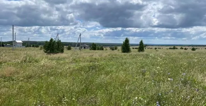 Участок в Челябинская область, Аргаяшский район, Дербишевское с/пос, ... - Фото 1