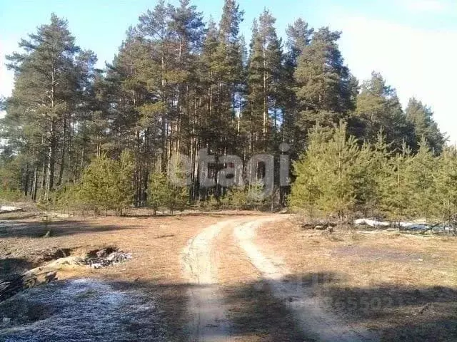 Участок в Костромская область, Сусанинский район, Ченцовское с/пос, д. ... - Фото 0