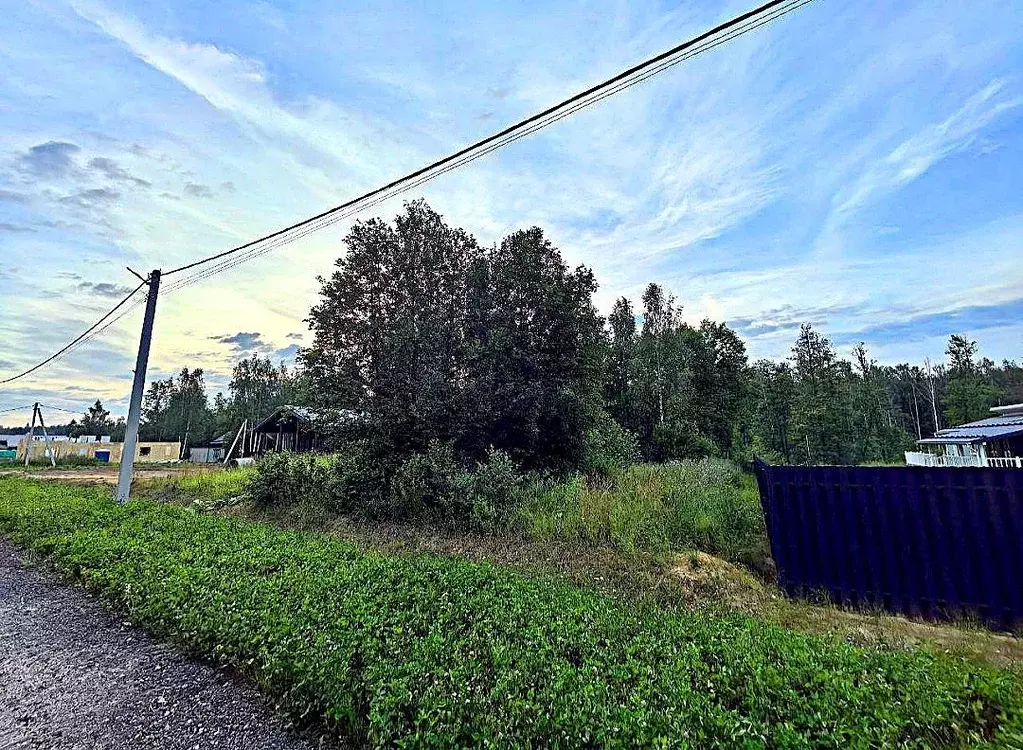 Участок в Ленинградская область, Всеволожский район, Колтушское ... - Фото 1