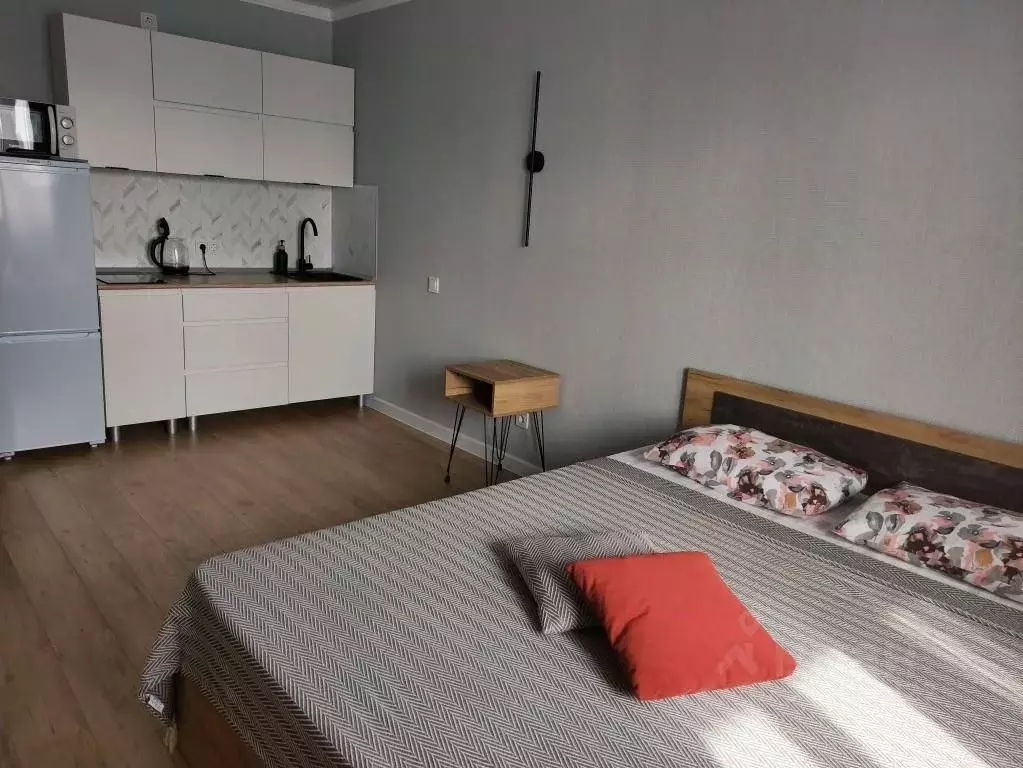 1-к кв. Липецкая область, Липецк ул. И.В. Свиридова, 20А (27.0 м) - Фото 1