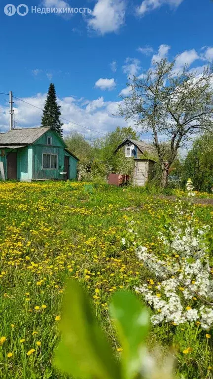 Дом в Завьяловский район, СНТ Геофизик (10 м) - Фото 1