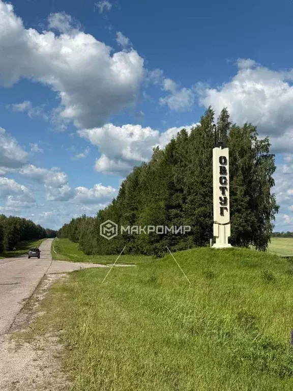 Участок в Брянская область, Жуковский муниципальный округ, с. Овстуг  ... - Фото 1