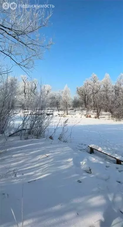 Участок в Берёзовский район, Есаульский сельсовет, ДНТ ... - Фото 0