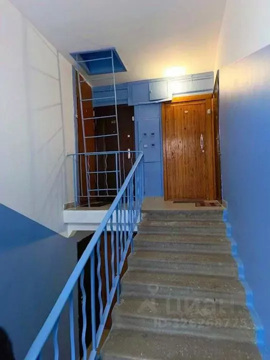 3-к кв. Новосибирская область, Новосибирск Академгородок мкр, ул. ... - Фото 2