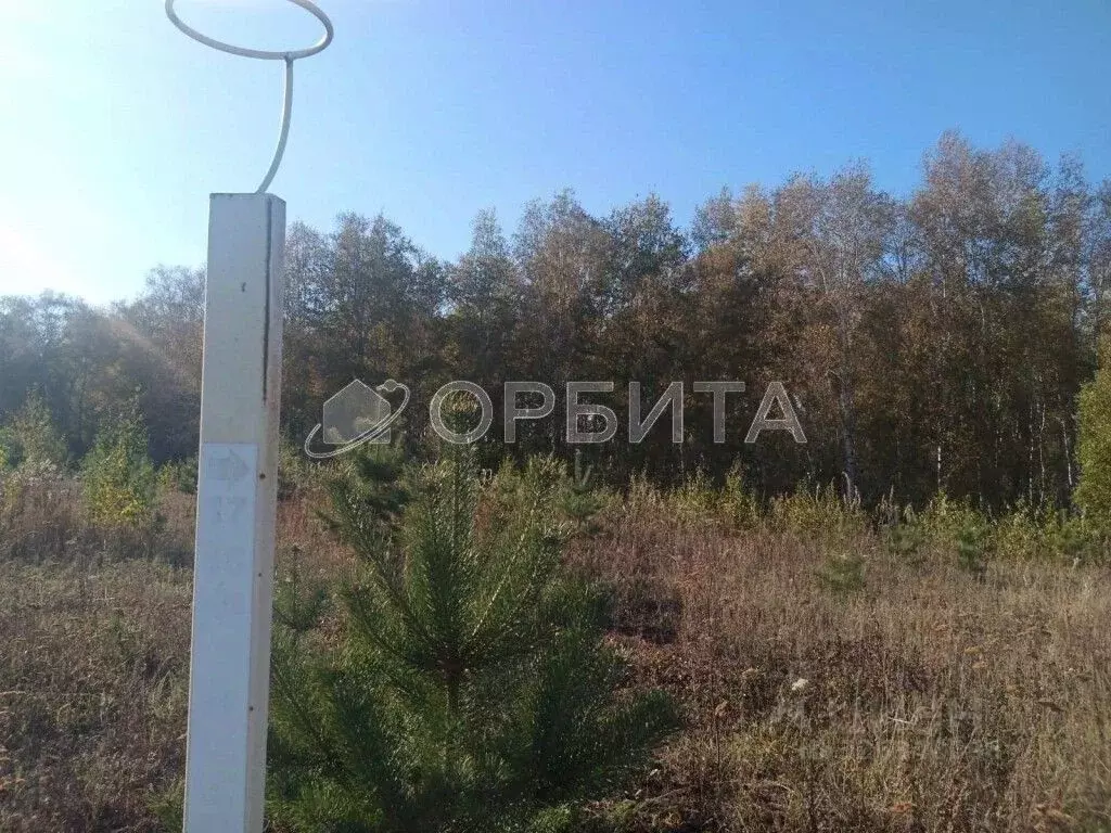 Участок в Тюменская область, Тюменский муниципальный округ, ... - Фото 2