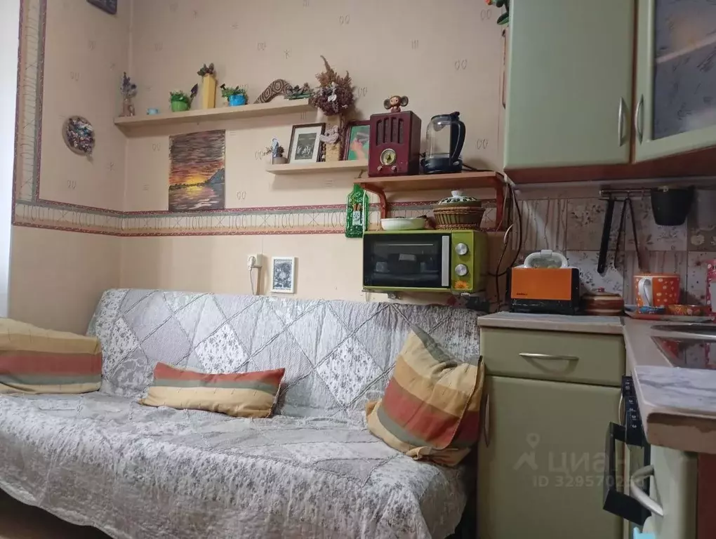 1-к кв. Московская область, Щелково городской округ, д. Медвежьи Озера ... - Фото 1