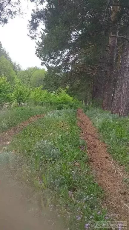 Участок в посёлок Западный, Западная улица (18 м) - Фото 2