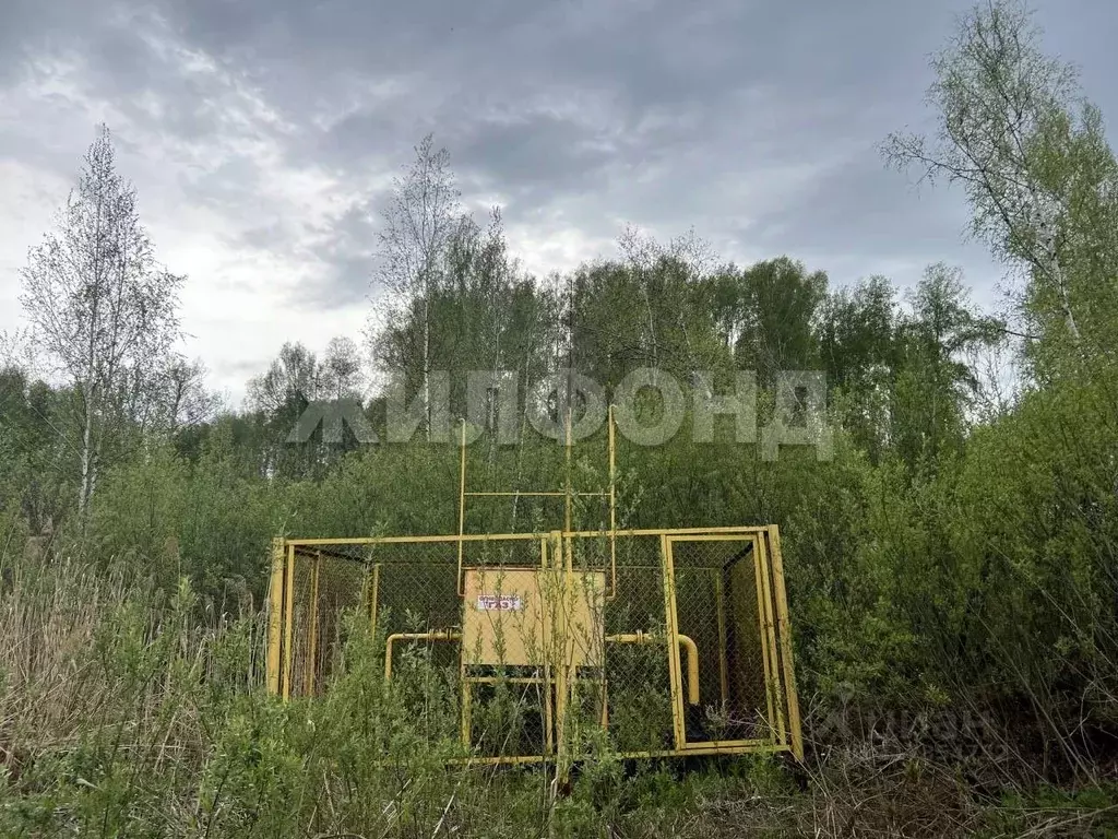 Участок в Новосибирская область, Новосибирск Инюшенская ул. (9.94 ... - Фото 1