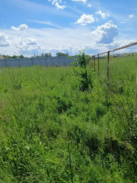 Участок в Самарская область, Красноярский район, Большая Каменка ... - Фото 2