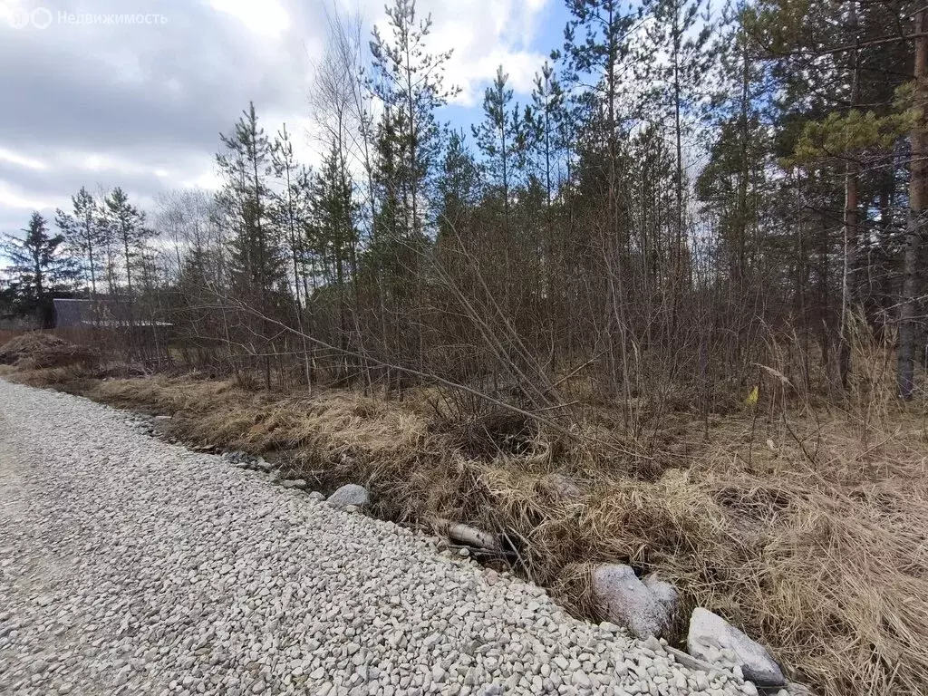 Участок в городской посёлок Дружная Горка, Пограничная улица, 3Б (14.5 ... - Фото 2