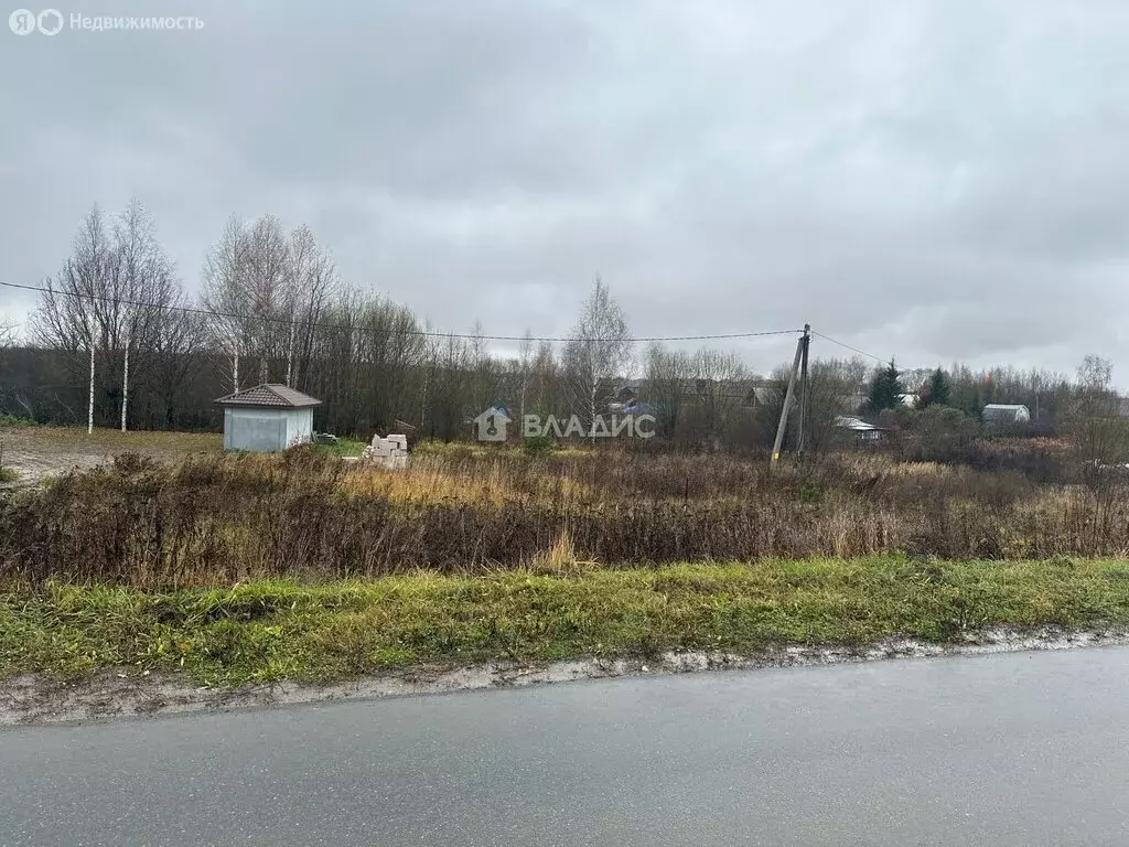 Участок в Суздальский район, муниципальное образование ... - Фото 1