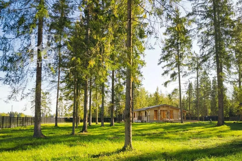 Участок в Московская область, Клин городской округ, Ели Эстейт ... - Фото 2