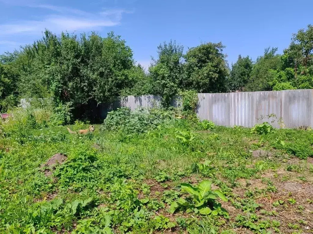 Участок в Белгородская область, Старый Оскол Сосновый Бор СНТ, ул. ... - Фото 1