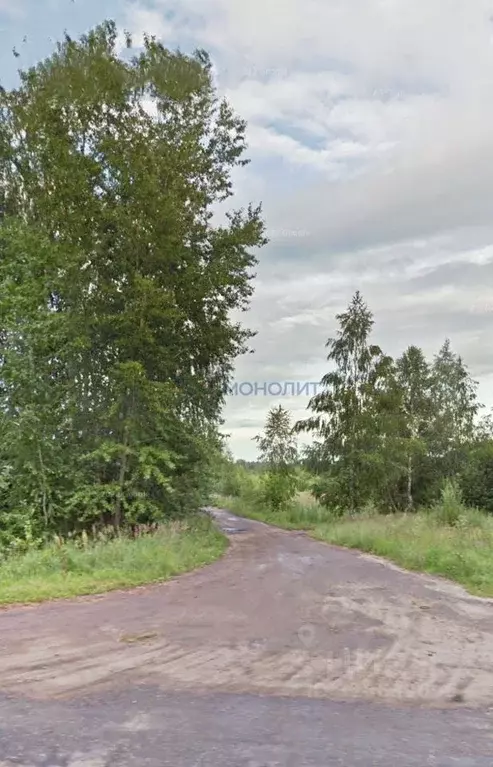 Участок в Нижегородская область, Лысковский район, с. Ратунино ... - Фото 2