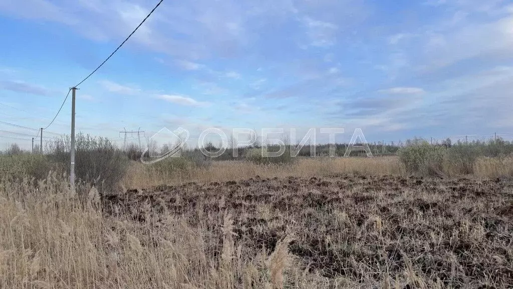 Участок в Тюменская область, Тюмень проезд Кофейный (8.05 сот.) - Фото 2