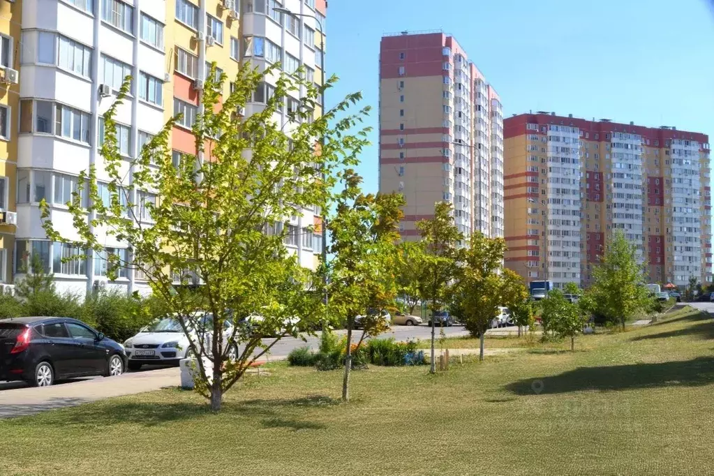 1-к кв. Ростовская область, Ростов-на-Дону ул. Тимофеева, 20 (35.65 м) - Фото 2