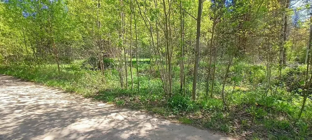 Участок 15 сот. (СНТ, ДНП) - Фото 0