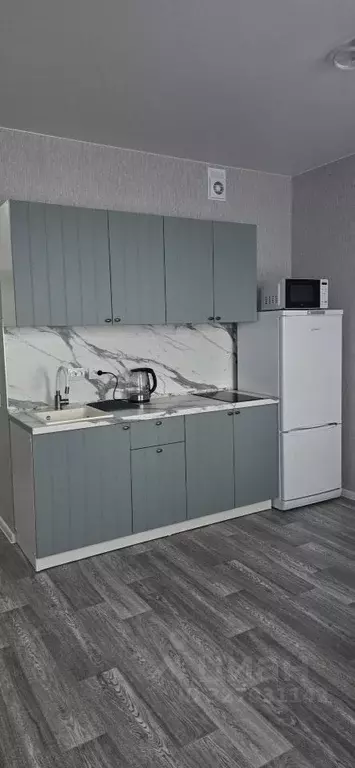 Студия Новосибирская область, Новосибирск Тайгинская ул., 39/1 (27.2 ... - Фото 1