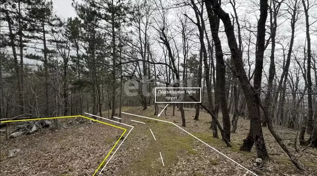 Участок в Республика Крым, муниципальный округ Ялта, посёлок ... - Фото 2