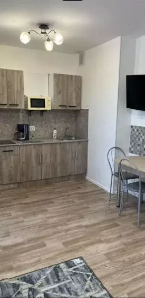 Студия Санкт-Петербург ул. Чарушинская, 26к1 (22.0 м) - Фото 1