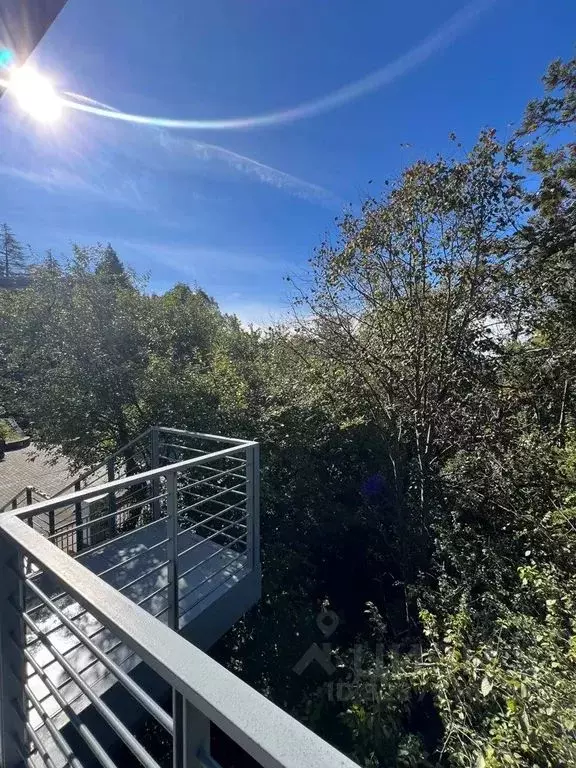 Комната Краснодарский край, Сочи городской округ, Дагомыс пгт ул. ... - Фото 2