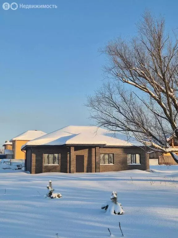 Дом в Рязанский муниципальный округ, село Агро-Пустынь (155 м) - Фото 2
