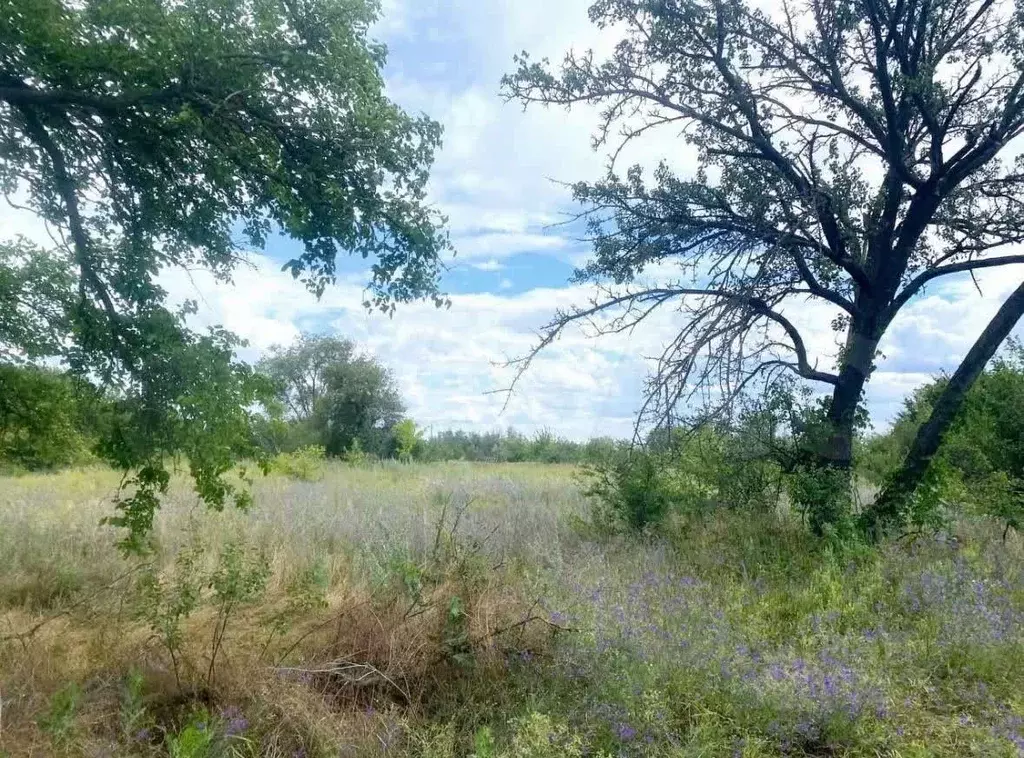 Участок в Ростовская область, Семикаракорский район, Кочетовское ... - Фото 1