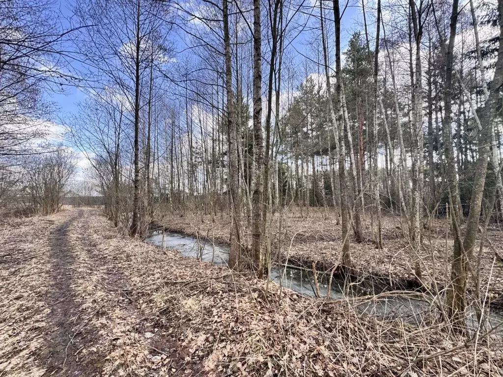 Участок в Тверская область, Конаково Южная ул. (11.0 сот.) - Фото 0