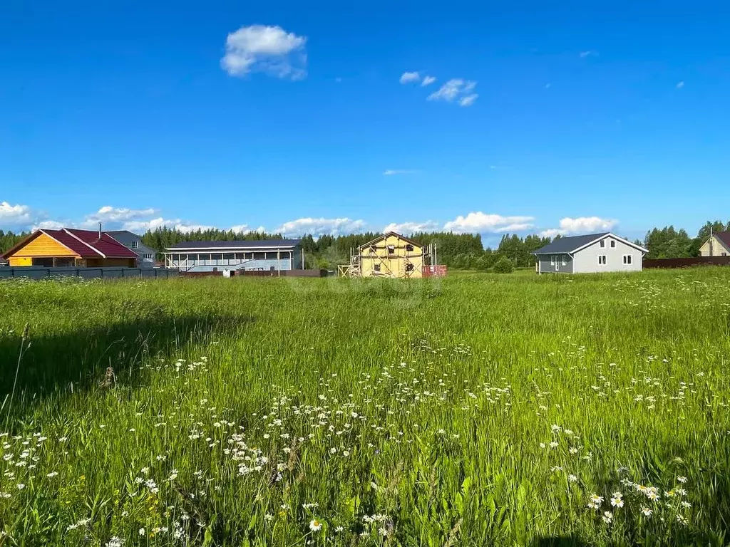 Участок в Вологодская область, д. Колбино (Кубенский сельсовет), ... - Фото 1
