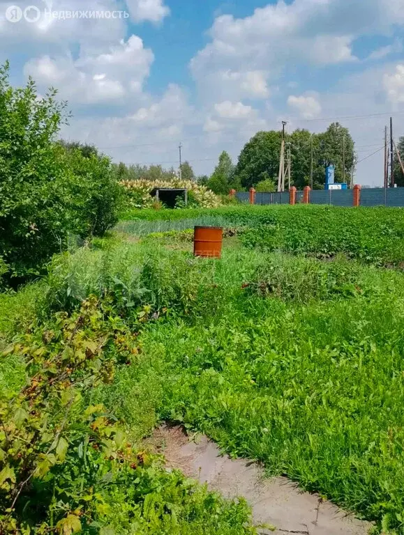 Дом в поселок Чугунаево, Лесная улица (66.1 м) - Фото 2