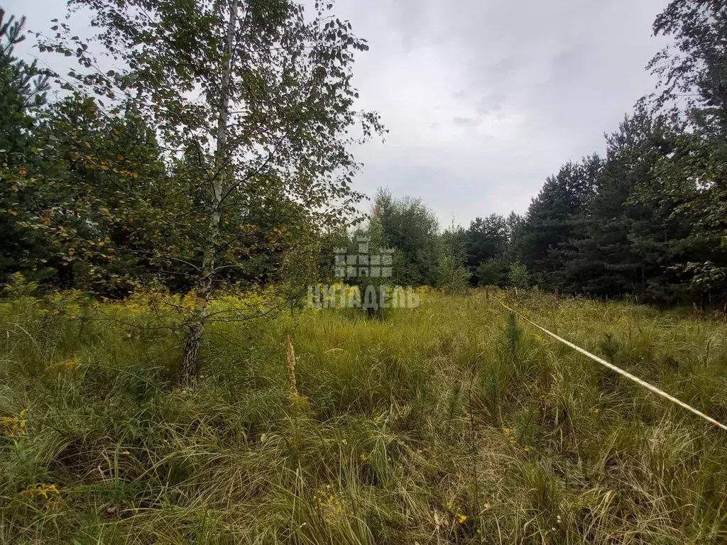 Участок в Воронежская область, Рамонский район, Новоживотинновское ... - Фото 1