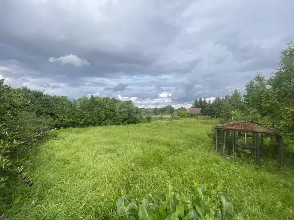 Участок в Вологодская область, д. Княгинино (Подлесный сельсовет)  ... - Фото 1