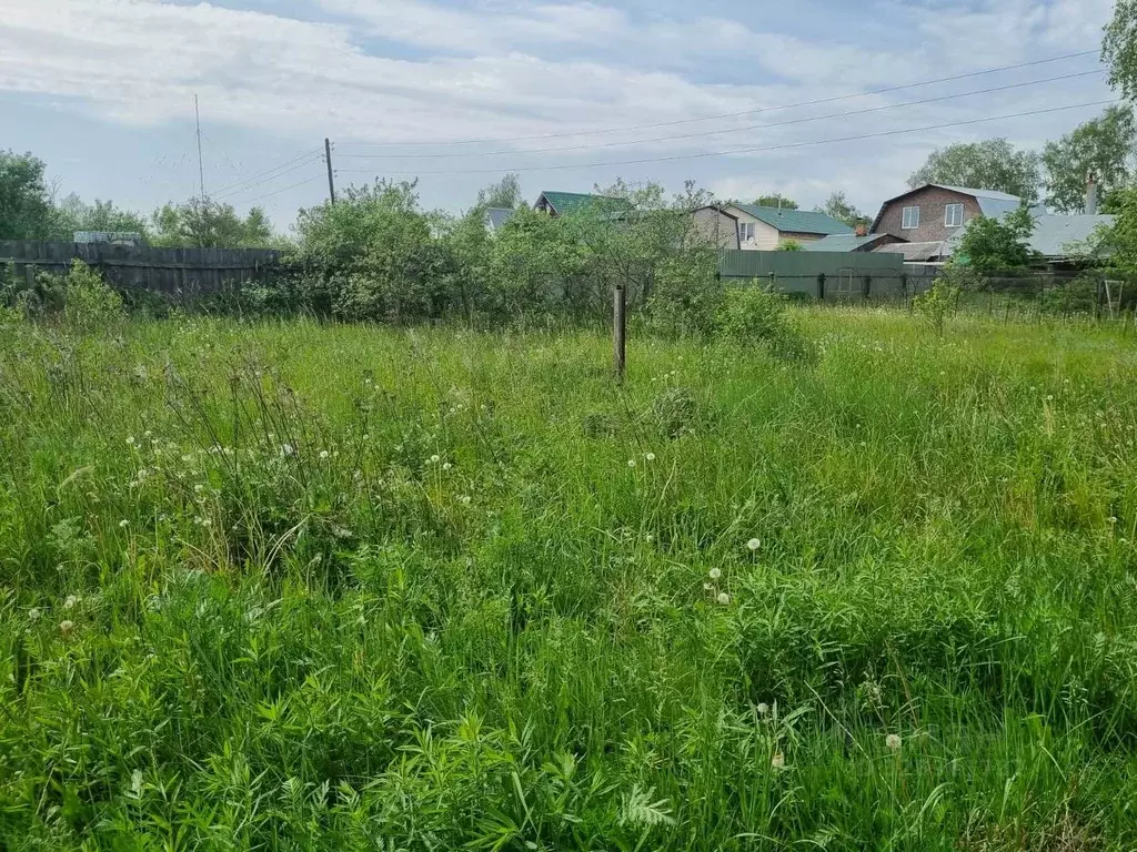 Участок в Московская область, Богородский городской округ, д. Новые ... - Фото 2