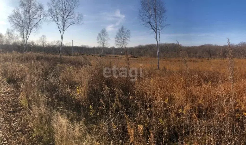 Участок в Приморский край, Надеждинский район, Аргус СНТ ул. 19-я ... - Фото 1