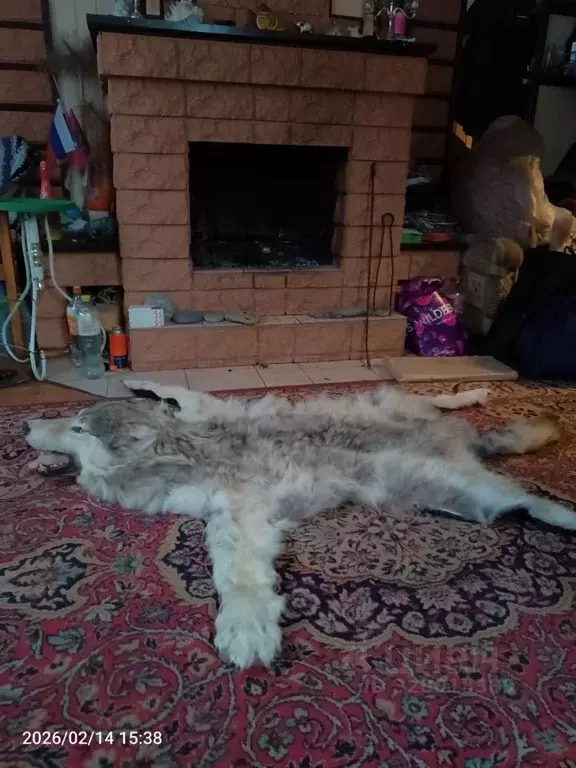 Комната Московская область, Раменский муниципальный округ, Быково пгт ... - Фото 1